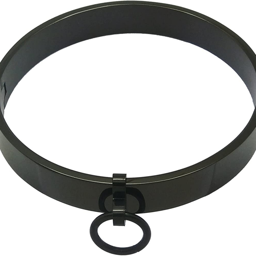 ACECHANNEL Stainless Steel Lockable Choker Collar Black 15.5in